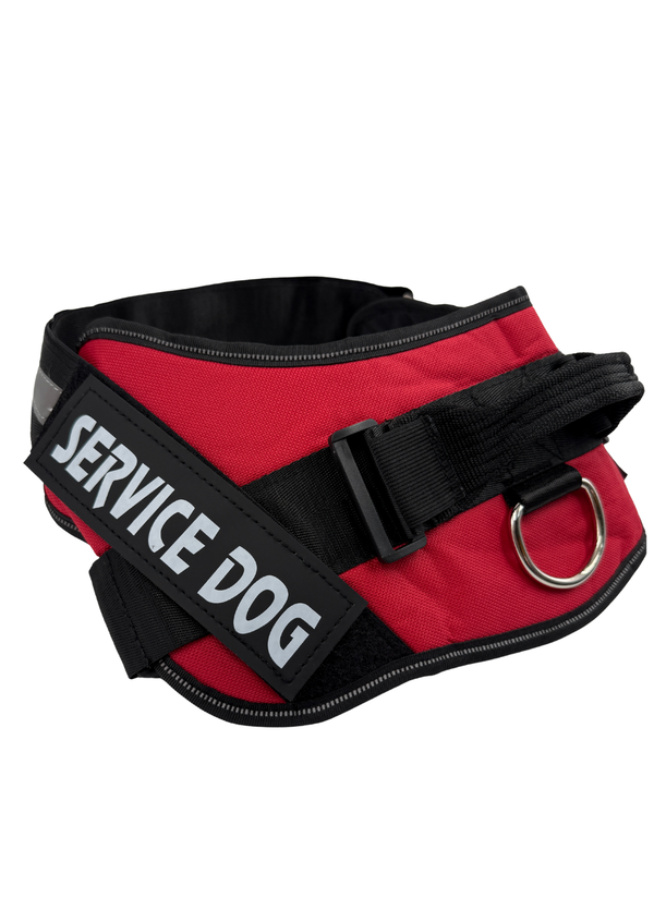 Pechera service dog con agarre de mano y argolla anti-jalón para perros