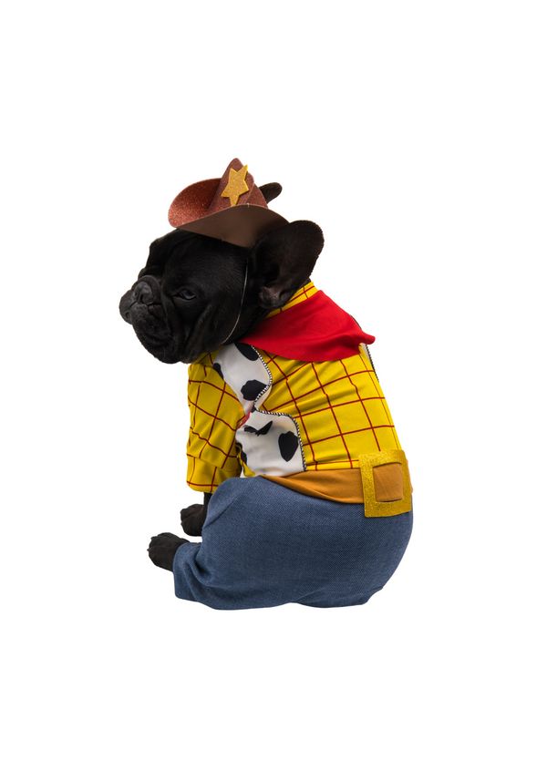 Disfraz Vaquero para mascotas