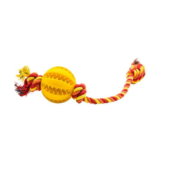 Juguete resistente anti sarro para perro