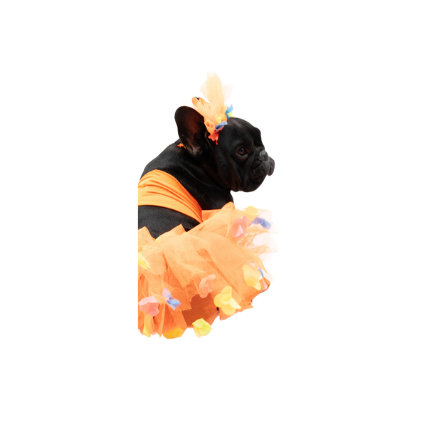 Disfraz Hawaiana premium para mascotas