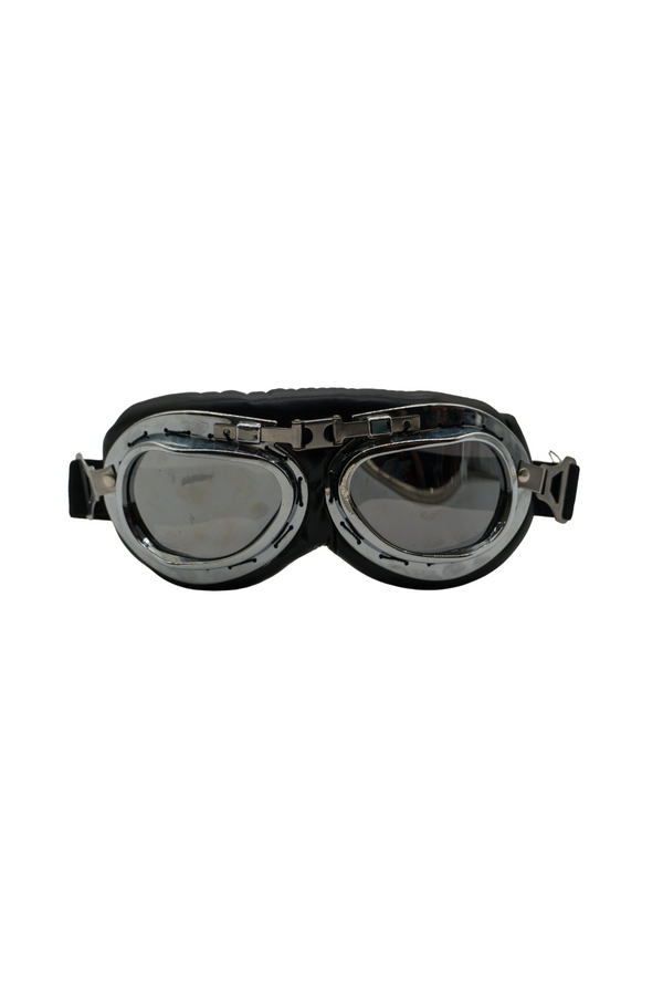 Gafas de viaje para perros