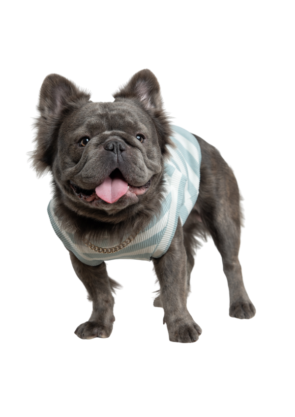 Camisón Primavera Verde Para Mascotas