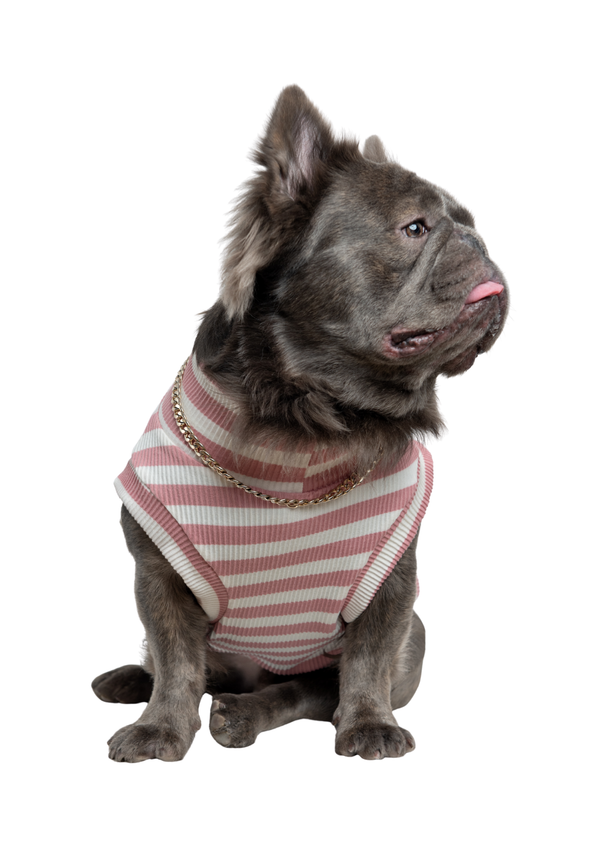 Camisón Primavera Rosado Para Mascotas