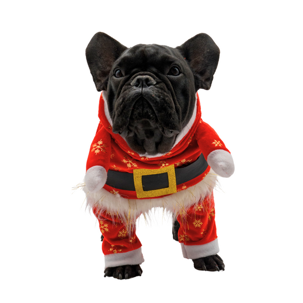 Traje papa Noel navidad para mascotas