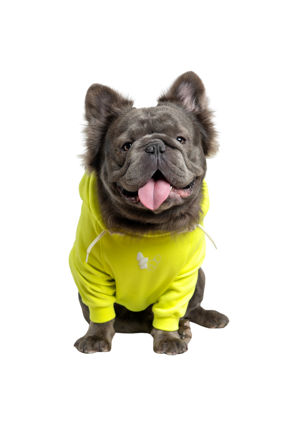 Hoodie Colors Verde Para Mascotas