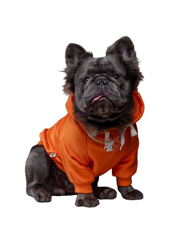 Hoodie Colors Naranja Para Mascotas