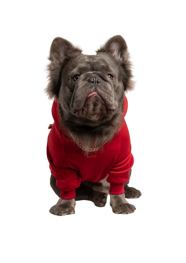 Hoodie Luxury Rojo Para Mascotas