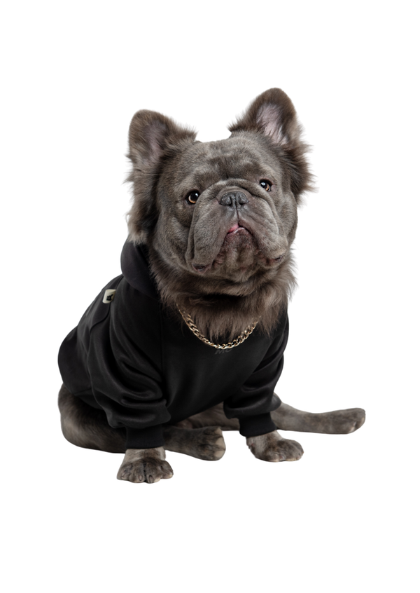 Hoodie Luxury Negro Para Mascotas