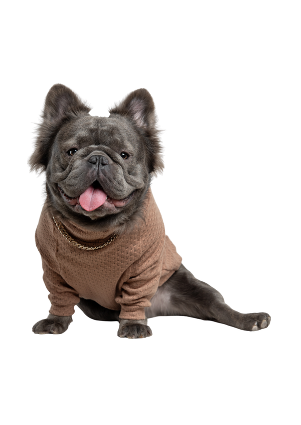 Sueter Macadams Café Para Mascotas