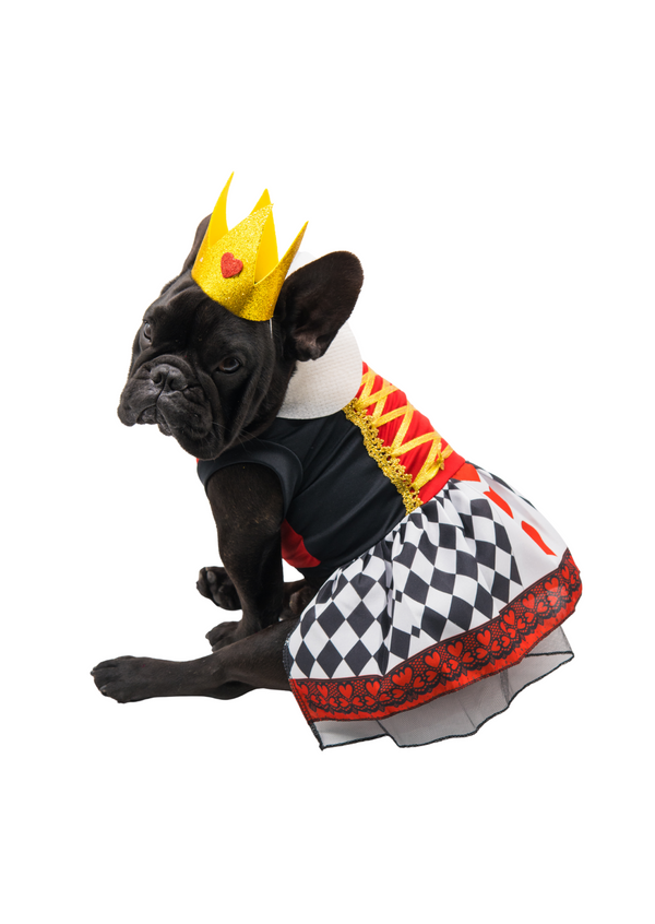 Disfraz Reina de corazones para mascotas
