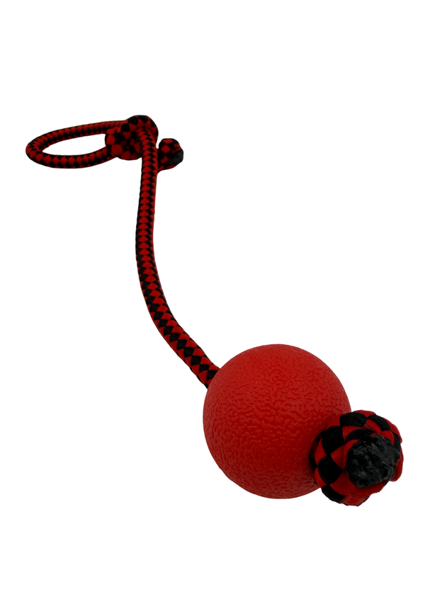 Juguete lazo con pelota maciza pequeña para mascotas