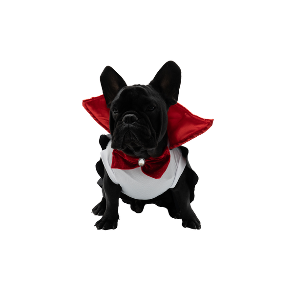 Disfraz Dracula para mascotas
