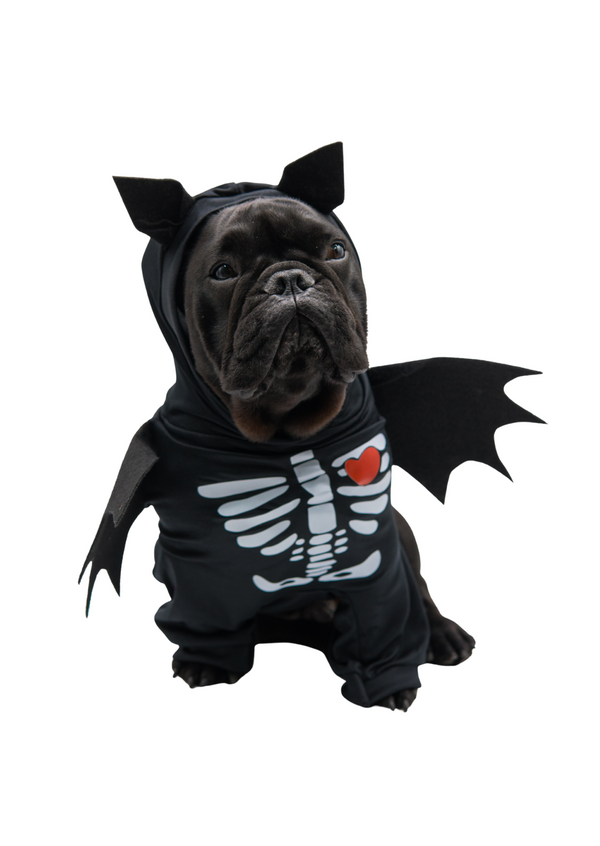 Disfraz Murciélago para mascotas