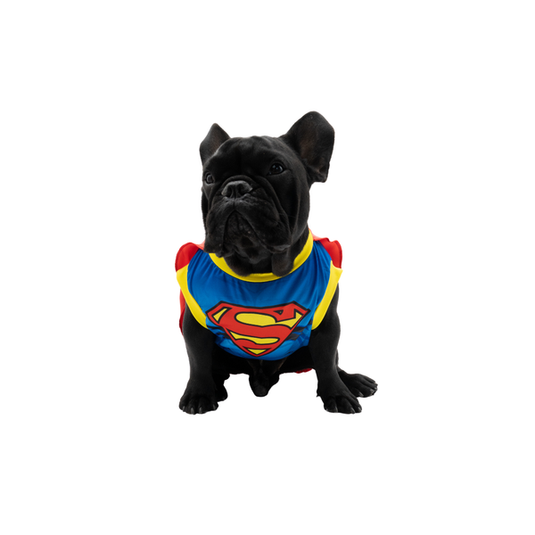 Disfraz Superman para mascotas