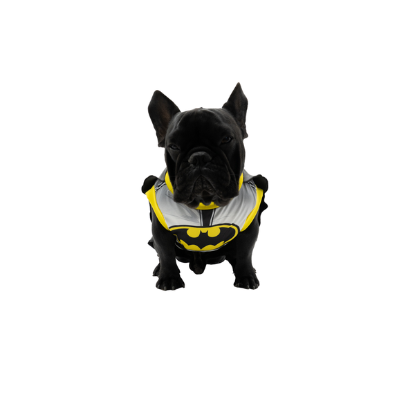 Disfraz Batman para mascotas