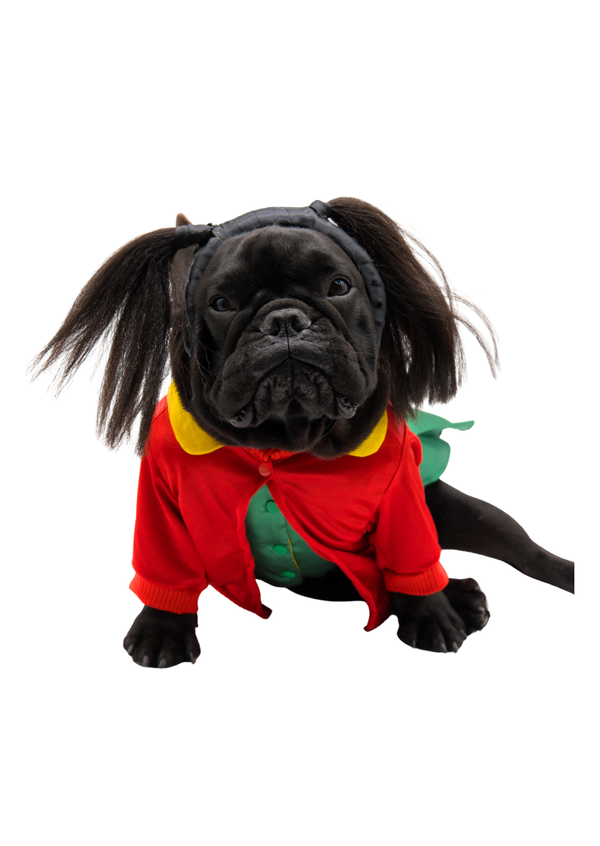 Disfraz Chilindrina premium para mascotas