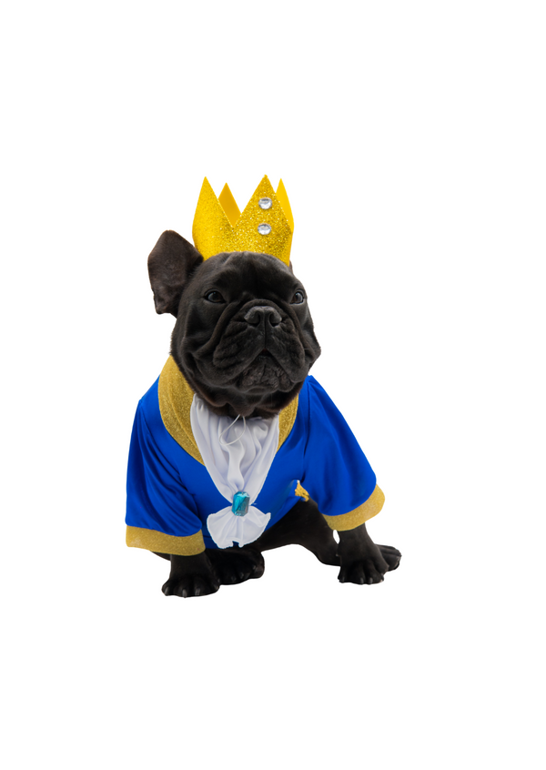 Disfraz Bestia para mascotas