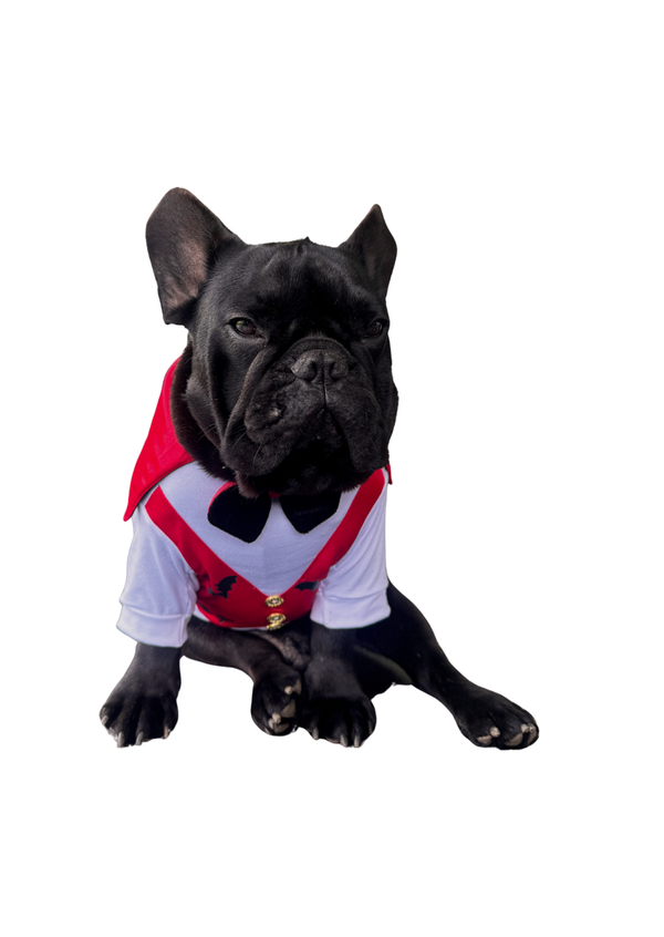 Disfraz Drácula premium para mascotas