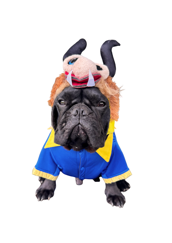 Disfraz bestia premium para mascotas
