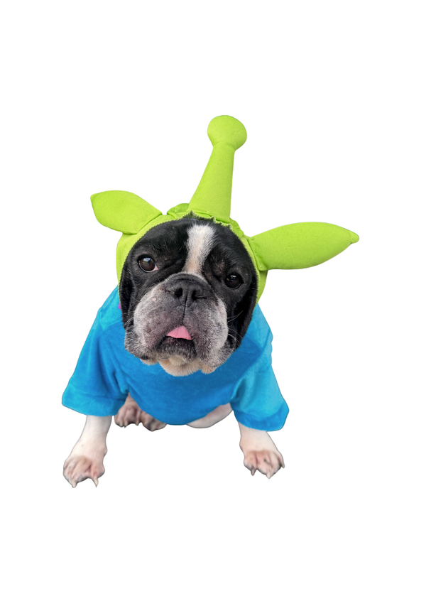 Disfraz Marciano premium para mascotas
