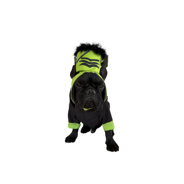 Disfraz Frankenstein premium para mascotas