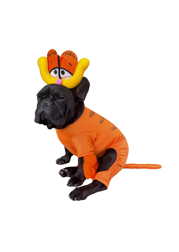 Disfraz Garfield premium para mascotas