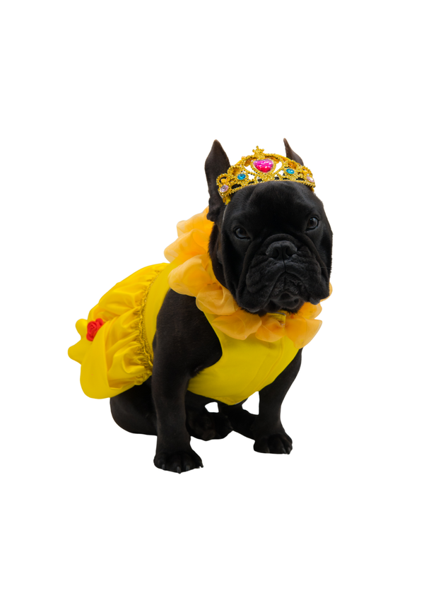 Disfraz bella premium para mascotas