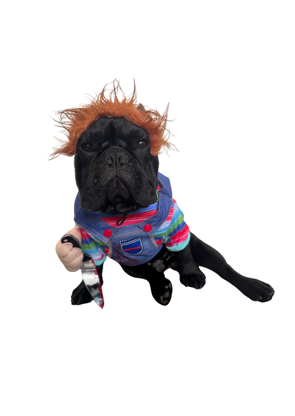 Disfraz Chucky premium para mascotas