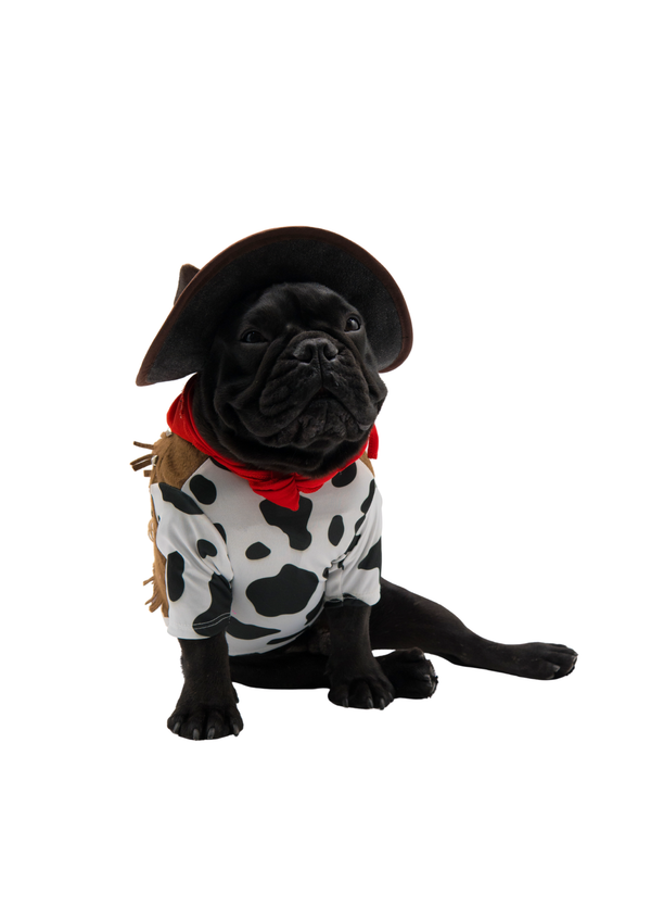 Disfraz vaquero premium para mascotas