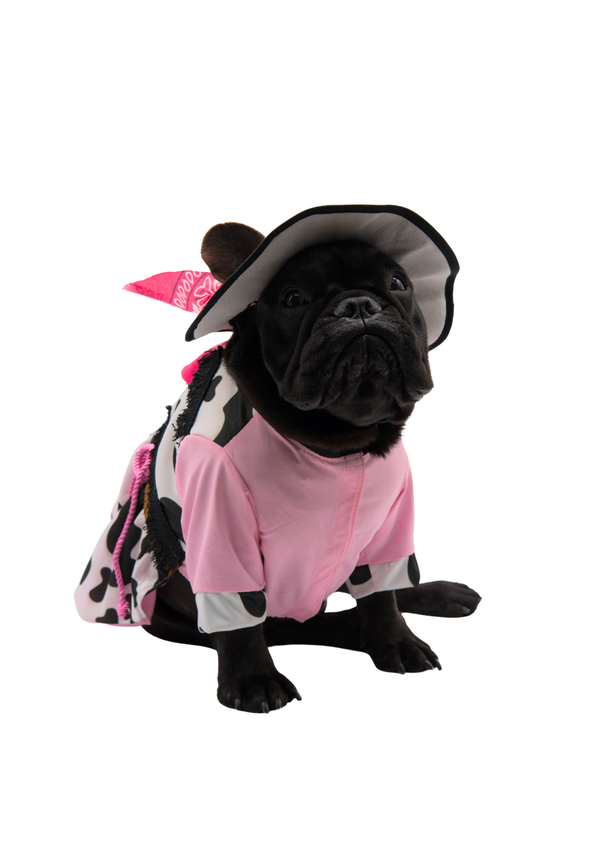 Disfraz vaquera premium para mascotas