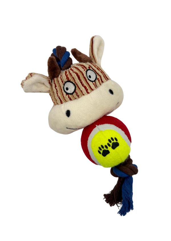 Lazo con pelota pet friends para mascotas
