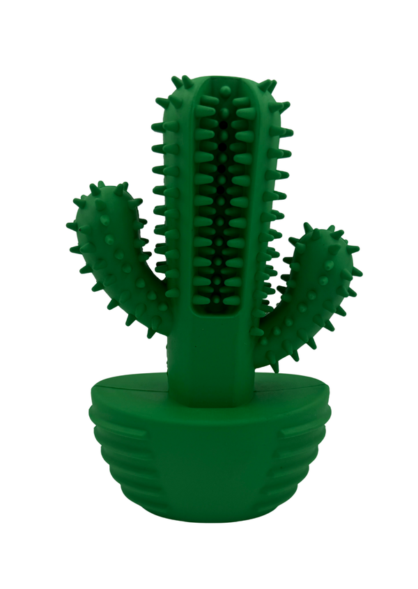 Limpia dientes cactus premium para mascotas