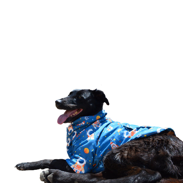 Chaquetas Premium Galáctica para mascota