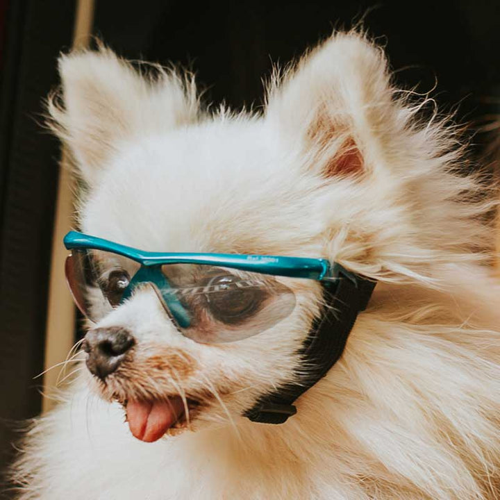 Imagen del producto: Gafas Razza