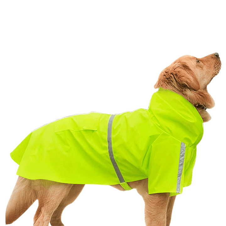 Imagen del producto: Impermeable para lluvia